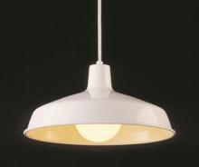 Trans Globe 1100 WH - 1 LT PENDANT W/ METAL SHADE
